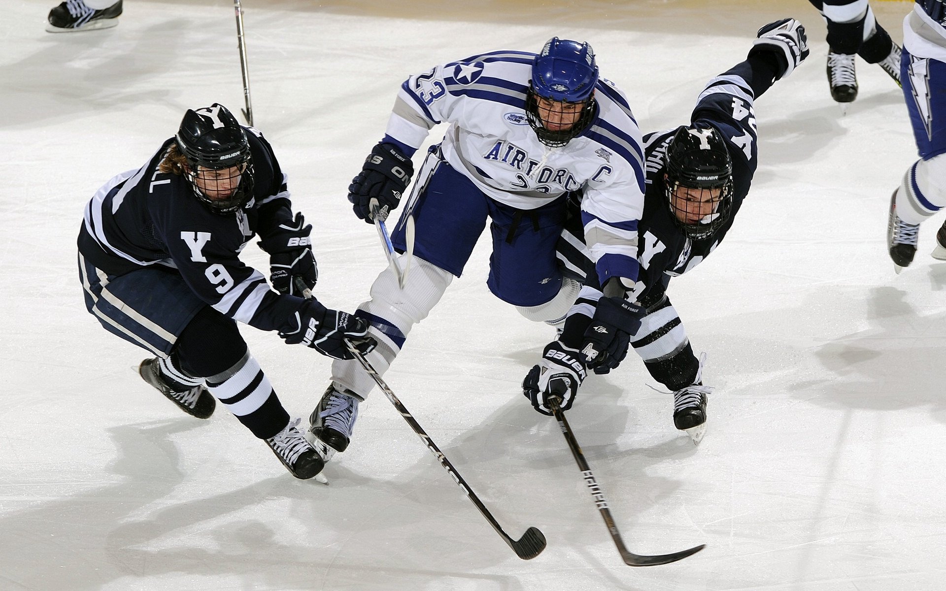 剧情反转？杨瀚森免赴发展联盟随队客场备战，2006年杨翰